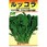 【タネ】ルッコラ ロケットサラダ