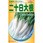 【タネ】二十日大根 ホワイトミニ