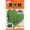 【タネ】葉大根
