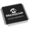 Microchip マイコン， 100-Pin TQFP PIC24FJ256GB410-I/PT