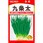 【タネ】ネギ 九条太