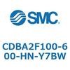CDBA2F100-600-HN-Y7BW �W���`�G�A�V�����_(�p�`�J�o�[)CBA2�V���[�Y(CDBA2F100-6�`) SMC 12344936