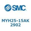 25224787