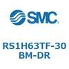 RS1H63TF-30BM-DR �n�C�X�g�b�p�V�����_ (RS1H63T�`) SMC 27496244