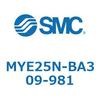42304212