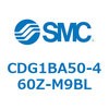 49205485