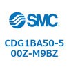 49205537