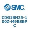 CDG1BN25-100Z-M9BSBPC 標準丸形エアシリンダ/複動・片ロッド CG1シリーズ CDG1BN25 SMC 49215233
