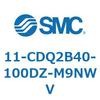 50545537