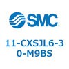 50549904