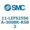 50553307