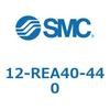 50564157