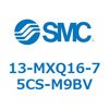 50568743
