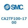 CA2TF100-1700 �G�A�V�����_�F�����E�Ѓ��b�h �Z���^�g���j�I���` CA2TF SMC 50936076