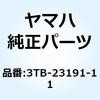 50989557