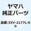 50994798