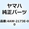 51004056