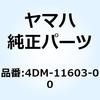 51032187
