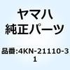 51053905