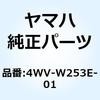 51070538
