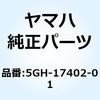 51201517