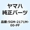 51204764