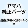 51205848