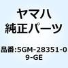 51205954