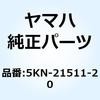 51216043