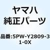 51229282