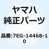51327806