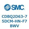 51387244