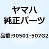 51531007
