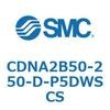 CDNA2B50-250-D-P5DWSCS ロック付シリンダ/複動・片ロッド(オートスイッチ付) CDNA2B50 SMC 52591481