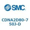 52600484