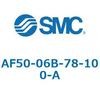 AF50-06B-78-100-A エアフィルタ AF-A AF50 SMC 52719739