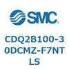 CDQ2B100-30DCMZ-F7NTLS 薄形シリンダ CDQ2B100-30 SMC 52820406