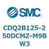 CDQ2B125-250DCMZ-M9BW3 ���`�V�����_ CDQ2B125-250 SMC 52839421