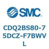 52894913