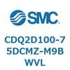 52900005
