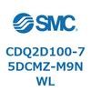 52900032