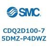 52900242