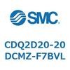 52905027