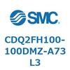 53030905