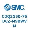 53054951