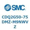 53055082