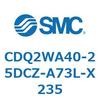 53150081