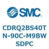 53341303