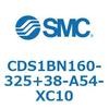 53349204