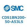 53350491